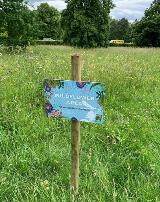 Wildflower area sign, Gadebridge Park
